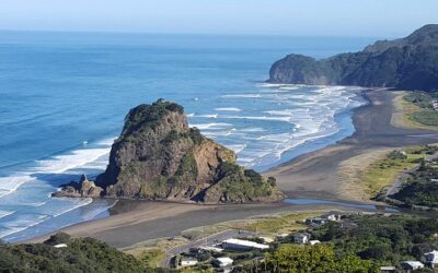 Afternoon Piha Beach and Rainforest Tour from Auckland (2026 Review & Booking Guide)