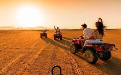Best Tours & Experiences in Marrakech