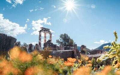 Delphi from Athens: Guided Tour vs Do It Yourself (Cost & Time Compared)