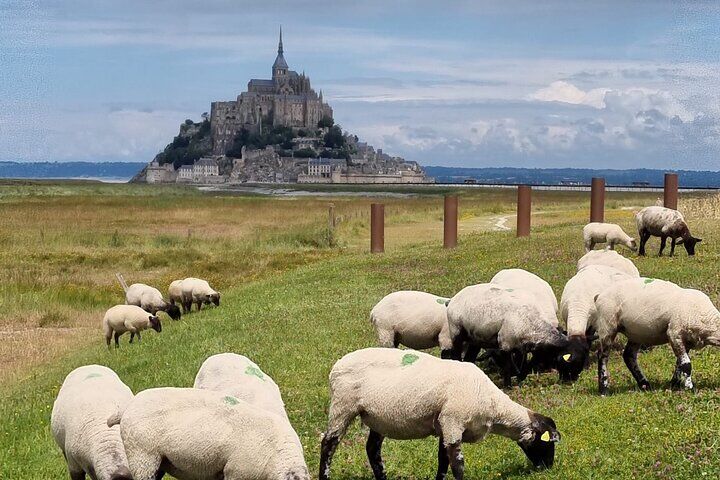 2-hour walking tour of Mont Saint-Michel