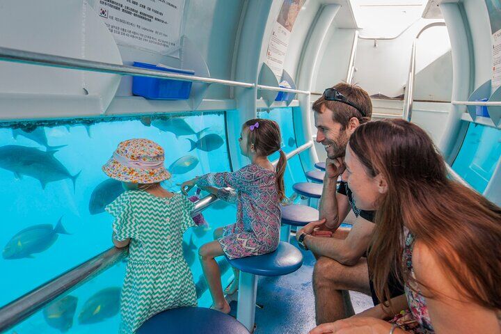 Sunlover Reef Cruises Cairns Great Barrier Reef Experience
