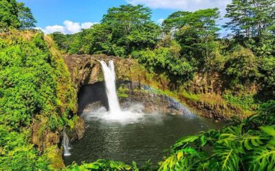 Big Island in a Day: Volcanoes Waterfalls Sightseeing (2026 Review & Booking Guide)
