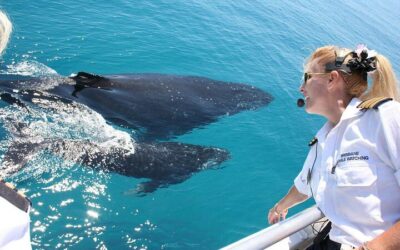 Best Day Trips from Brisbane (2026)