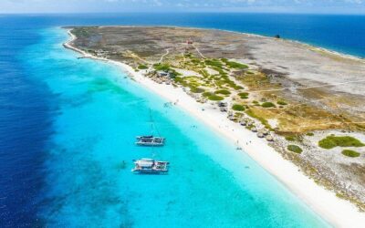 Best Tours & Experiences in Curacao
