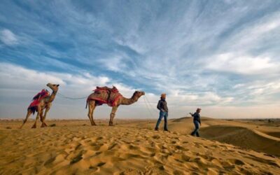 Best Tours & Experiences in Jodhpur