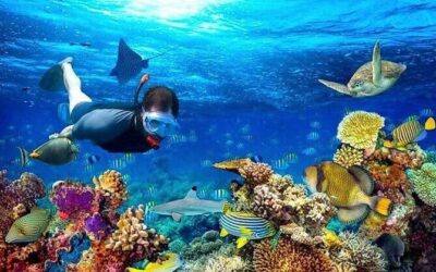 Best Tours & Experiences in Roatan