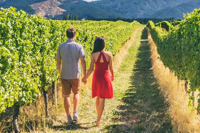 Os melhores passeios e experiências em Napa Downtown California 33 Napa and Sonoma Valley Wine Tour - Napa Downtown California