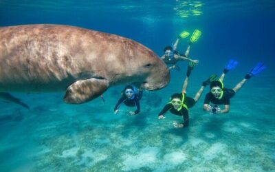 Best Tours & Experiences in Marsa Alam, Egypt