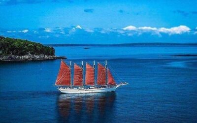 Narrated Bus Tour of Bar Harbor and Acadia National Park (2026 Review & Booking Guide)