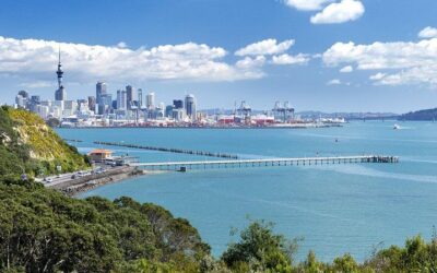 Half-day Discover Auckland City Sightseeing Tour (2026 Review & Booking Guide)