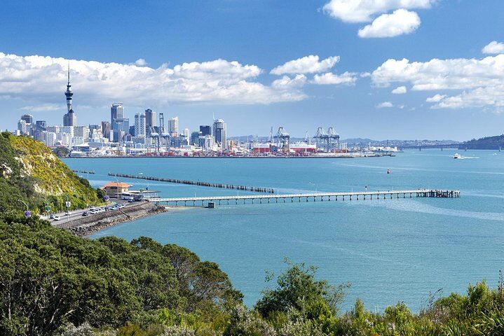 Half-day Discover Auckland City Sightseeing Tour in Auckland