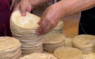Cabo San Lucas Mexican Cooking Class Experience and Local (2026 Review & Booking Guide)