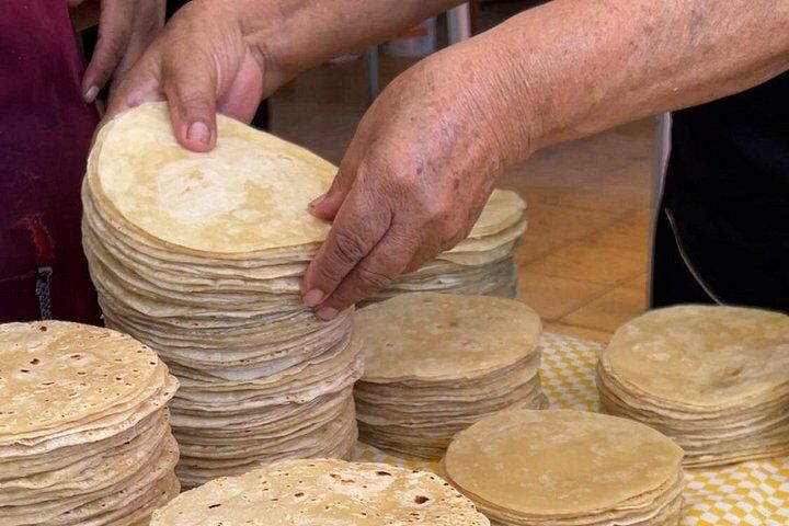 Cabo San Lucas Mexican Cooking Class Experience and Local (2026 Review & Booking Guide) 1 Cabo San Lucas Mexican Cooking Class Experience and Local in Cabo San Lucas