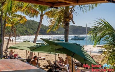 Captain Bob Speed Boat, Snorkeling, Beach Tour & Lunch St Maarten (2026 Review & Booking Guide)