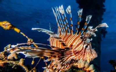 Best Tours & Experiences in Eilat