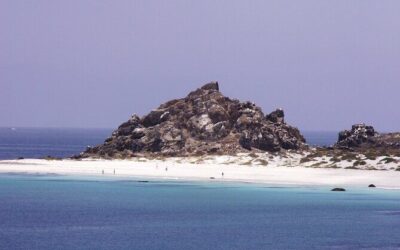 Best Tours & Experiences in La Serena, Chile