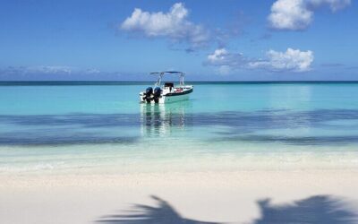 Small Group: Saona Island Full Day Tour (2026 Review & Booking Guide)