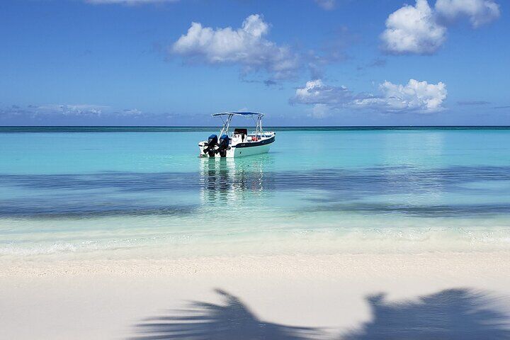 Small Group: Saona Island Full Day Tour (2026 Review & Booking Guide) 1 Small Group: Saona Island Full Day Tour in Punta Cana