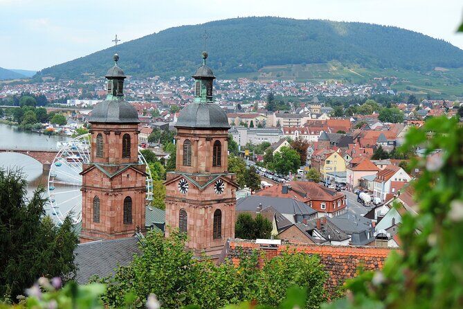 Best Tours & Experiences in Miltenberg Germany 3 5e
