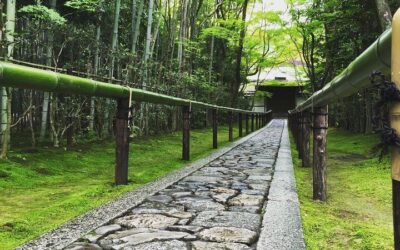 Kyoto Cruise Port Guide: Best Shore Excursions & One Day in Kyoto (2026)