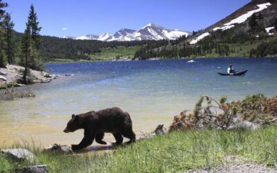 Small Group Yosemite and Giant Sequoias Day Trip from San (2026 Review & Booking Guide)