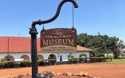 Best Tours & Experiences in Jinja