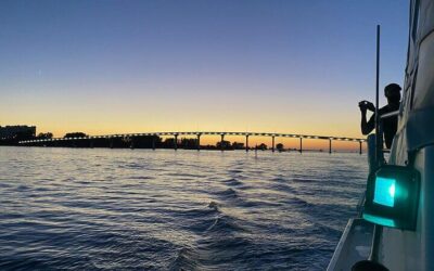 Little Toot Dolphin Adventure at Clearwater Beach (2026 Review & Booking Guide)