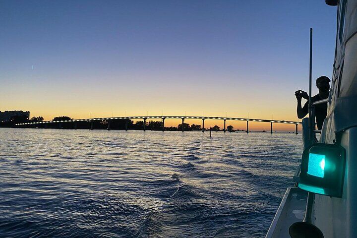 Little Toot Dolphin Adventure at Clearwater Beach in Clearwater