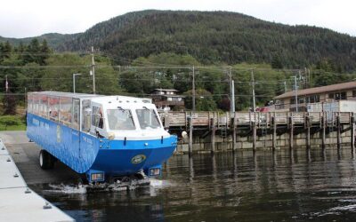 Best Things to Do in Ketchikan (2026): Top-Rated Tours & Experiences