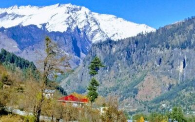 Best Tours & Experiences in Manali