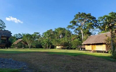Best Tours & Experiences in Coca, Ecuador