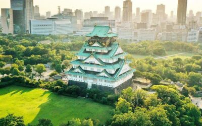 Osaka Castle Walking Tour and Castle Tower Admission (2026 Review & Booking Guide)