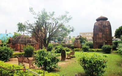 Best Tours & Experiences in Bhubaneswar