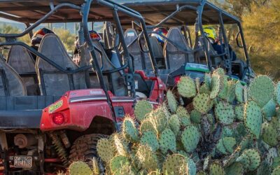 Phoenix Morning Hot Air Balloon Ride with Bubbly + Breakfast (2026 Review & Booking Guide)