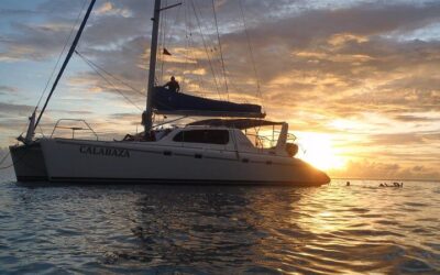 Barbados Catamaran Turtle Snorkel with Lunch and Open Bar (2026 Review & Booking Guide)