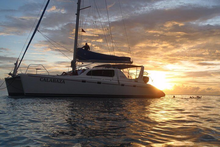 Barbados Catamaran Turtle Snorkel with Lunch and Open Bar (2026 Review & Booking Guide) 1 Barbados Catamaran Turtle Snorkel with Lunch and Open Bar in Barbados