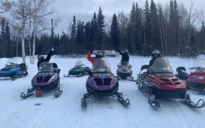 Northern Lights & Chena Hot Springs Tour (2026 Review & Booking Guide)
