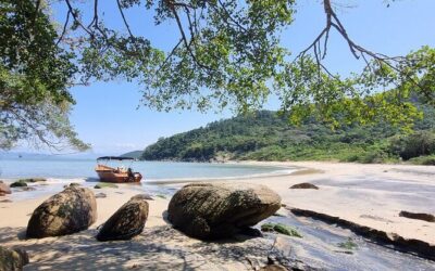 Best Tours & Experiences in Bombinhas, Brazil