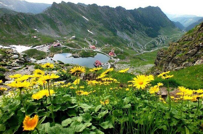 Best Tours & Experiences in Fagaras Romania 7 64
