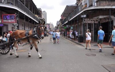 How Much Do Tours in New Orleans Cost? New Orleans Tour Prices (2026)