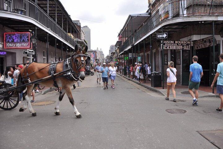 New Orleans French Quarter and More Carriage Ride (2026 Review & Booking Guide) 1 New Orleans French Quarter and More Carriage Ride in New Orleans