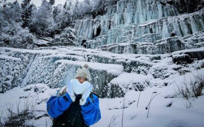 Best Time to Visit Rovaniemi (2026): Month-by-Month Guide