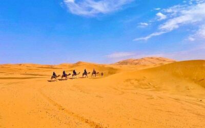 Best Tours & Experiences in Ouarzazate