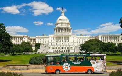 Private vs Small Group Tours in Washington DC: Which Should You Book? (2026)