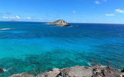 Oahu North Shore Fun: Waimea Waterfall & Turtle Snorkeling (2026 Review & Booking Guide)