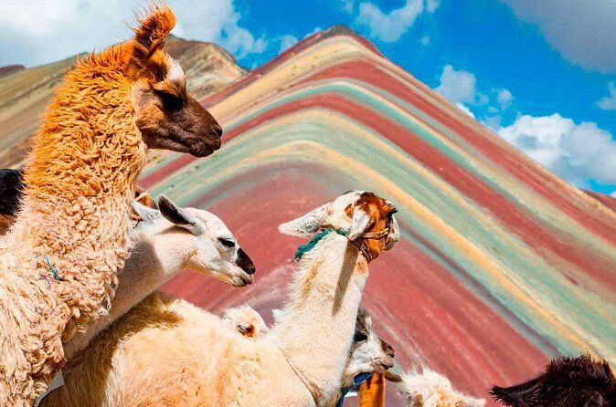 Beste Touren und Erlebnisse in Cusco