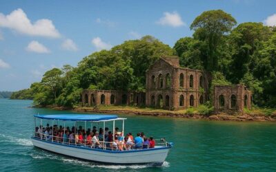 Best Tours & Experiences in Port Blair