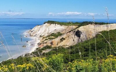 Boston to Martha’s Vineyard Day Trip with Optional Island Tour (2026 Review & Booking Guide)