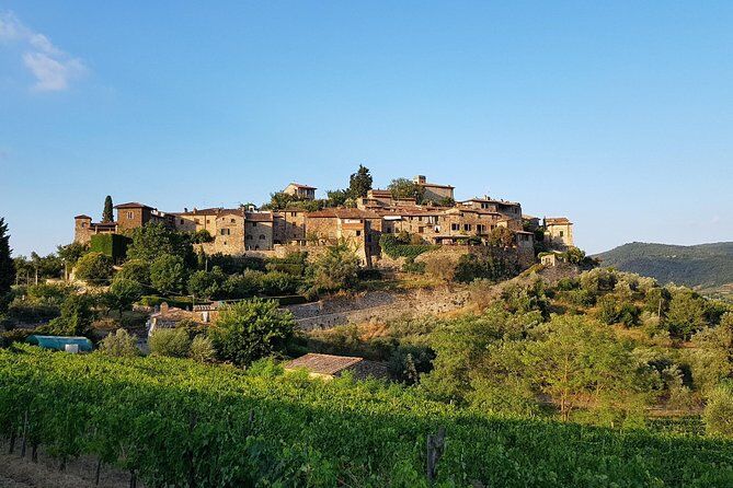 Best Tours & Experiences in Gaiole in Chianti Italy 27 68