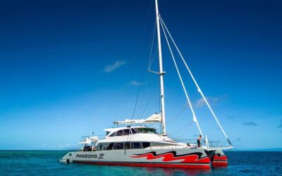Passions of Paradise Great Barrier Reef Cruise by Catamaran (2026 Review & Booking Guide)